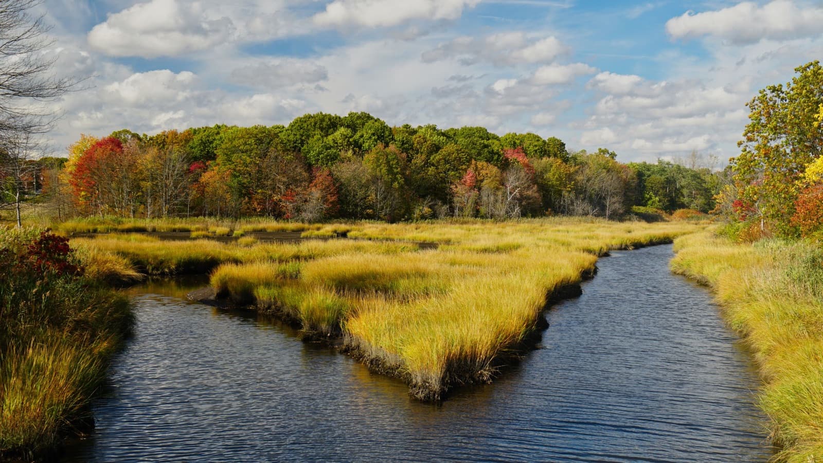 Tidal creek winding through golden salt-marsh grass under a partly cloudy sky